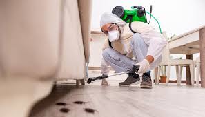 Best Fumigation Services  in Worthington, KY